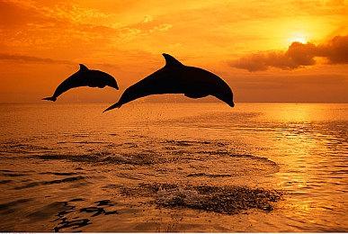 2D 动漫格斗游戏《幻象破坏者：Omnia》 今日正式发售